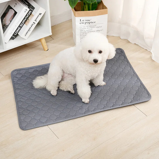 Reusable Absorbent Dog Pee Pad – Washable Pet Training Mat