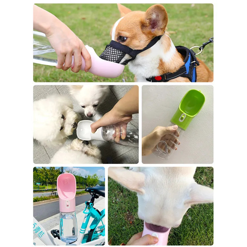 Portable Pet Water Bottle & Feeder for Dogs