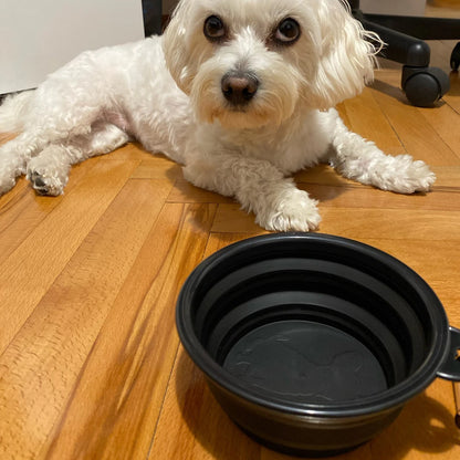 Collapsible Silicone Pet Bowl