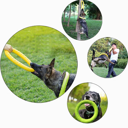 Interactive Dog Flying Disk & Training Ring