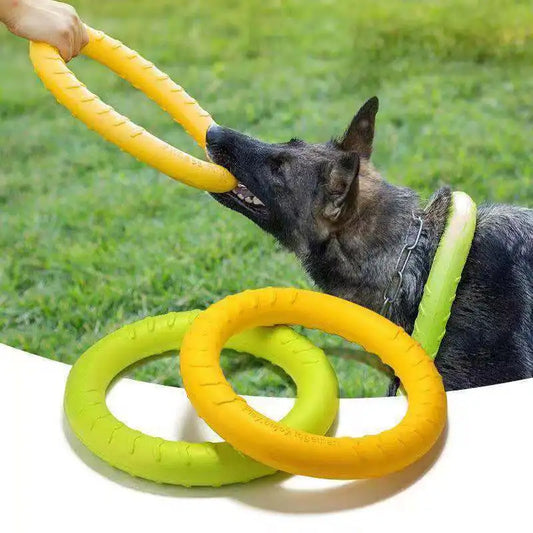 Interactive Dog Flying Disk & Training Ring