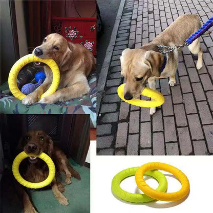 Interactive Dog Flying Disk & Training Ring