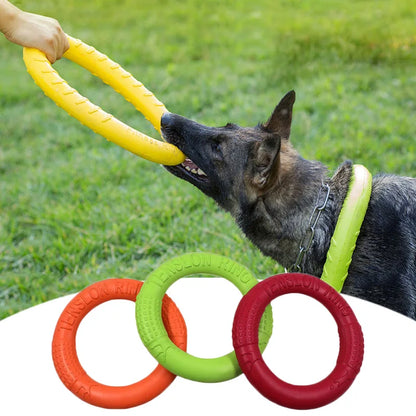 Interactive Dog Flying Disk & Training Ring