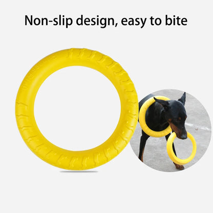 Interactive Dog Flying Disk & Training Ring